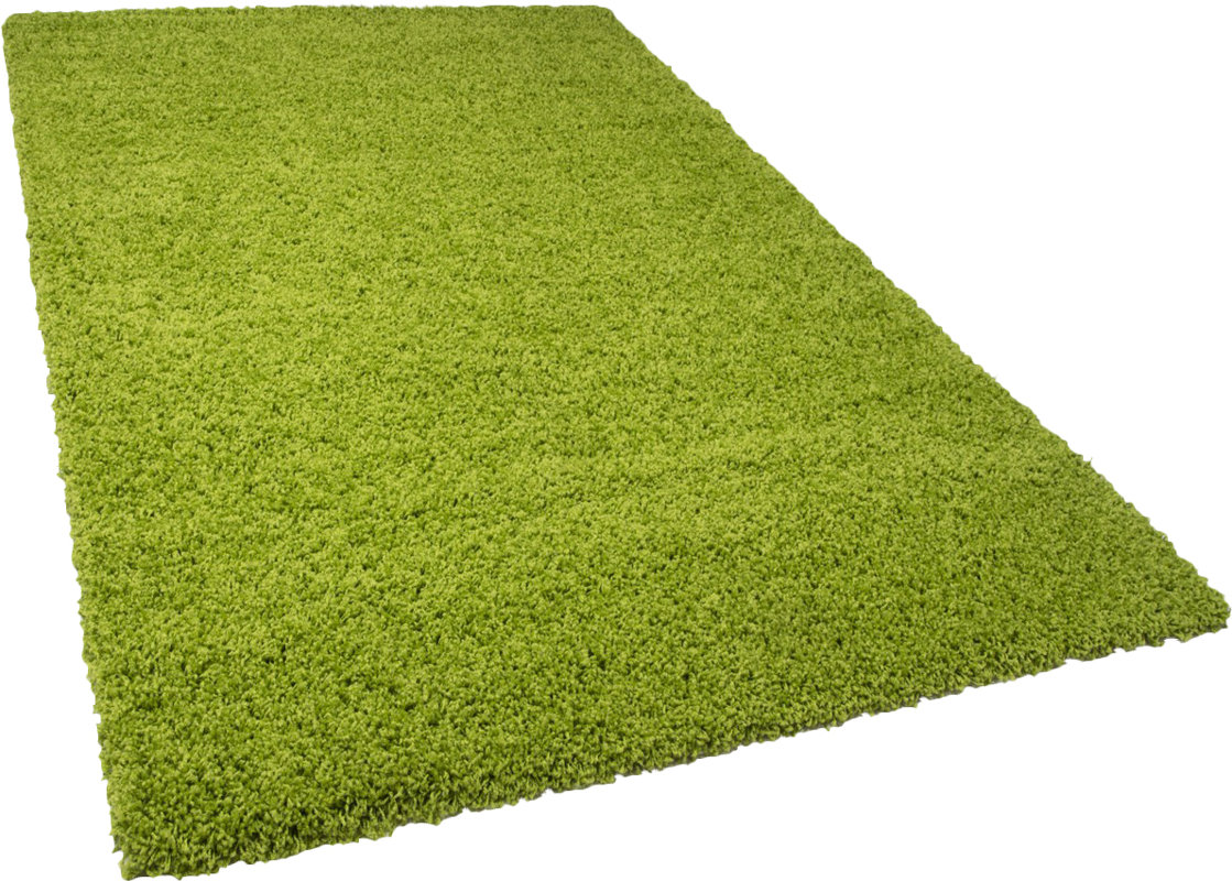 Riley Ave Ava Green Area Rug Reviews Wayfair Co Uk Ava Green Area Rug