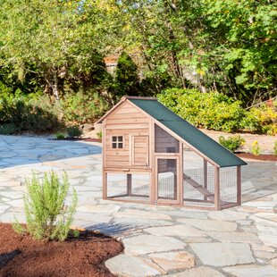 Chicken Coops Youll Love In 2019 Wayfair