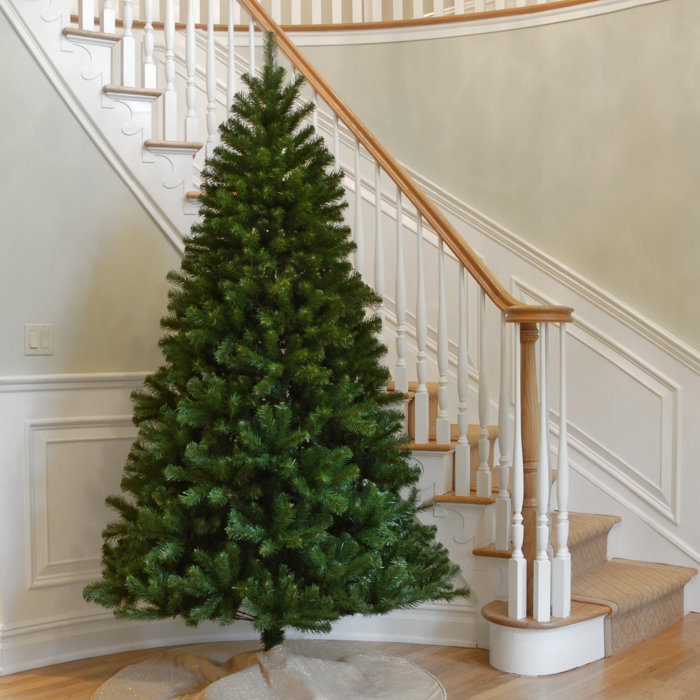 Beachcrest Home Green Spruce Artificial Christmas Tree Reviews Green Spruce Artificial Christmas Tree