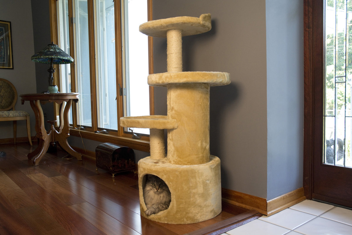 Iconic Pet 41" Dual Post Cat Tree Condo & Reviews Wayfair