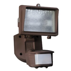 Outdoor Floodlight