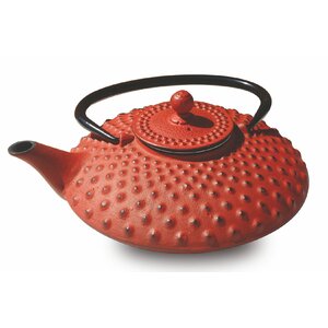 Tetsubin 0.81-qt. Amity Teapot