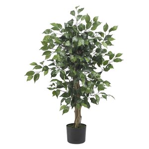 Parkes Silk Ficus Tree in Pot