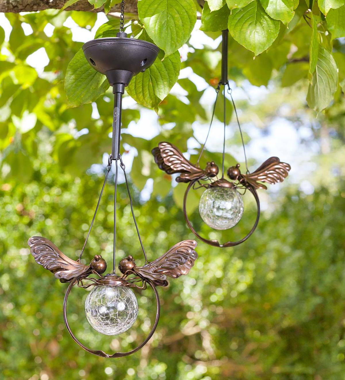 Wind Weather Solar Gl Le Ball Dragonfly Light 2 Piece Wind Weather Solar Gl Le Ball Dragonfly Light 2 Piece Decorative Lantern Set Reviews Wayfair