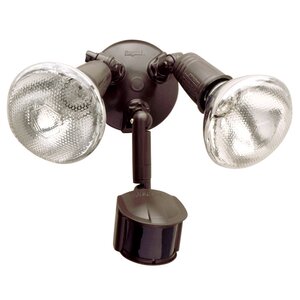 Arkwright 2-Light Flood Light