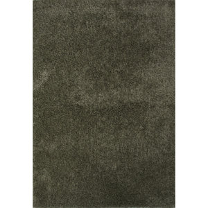 Brys Polyester Shag Forest Shade Area Rug