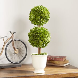 Gaudreau Double Ball Topiary in Pot