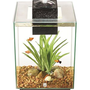 Fluval 5 Gallon Chi II Aquarium Set