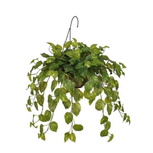 House of Silk Flowers Artificial Real Touch Pothos Hanging Plant in