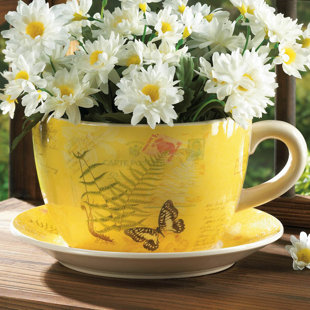 Plant Pot And Saucer | Wayfair Plant Pot And Saucer | Wayfair