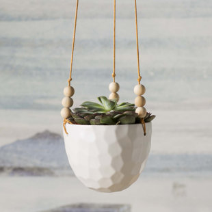 Hanging Planters You Ll Love Wayfair Mari Round Ceramic Hanging Planter
