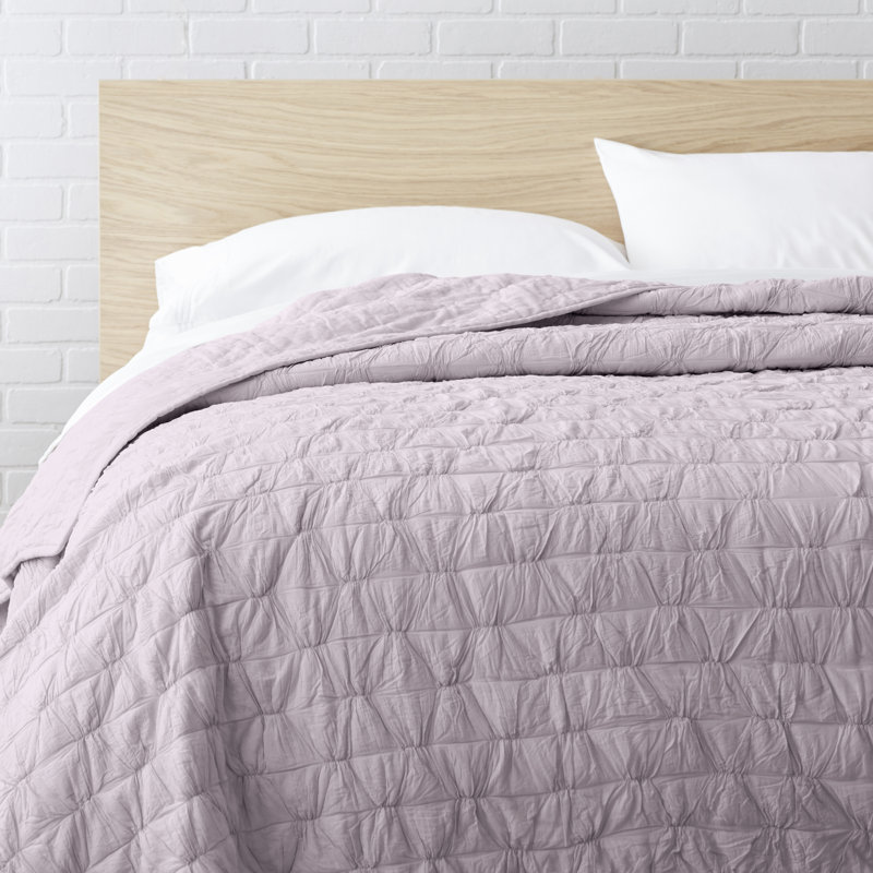 100 Cotton Quilt & Reviews AllModern