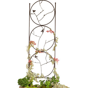 Circle of Birds Iron Gothic Trellis