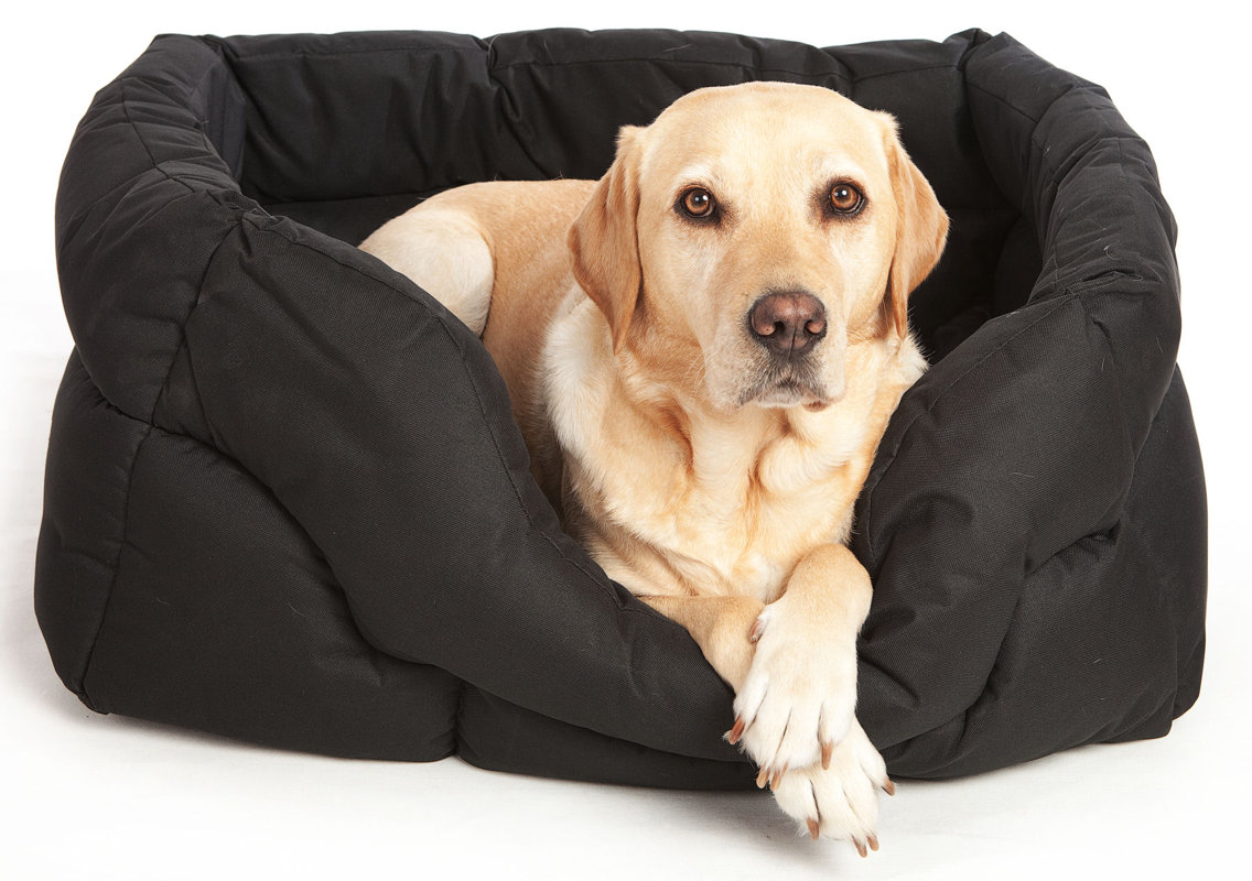 P & L Superior Pet Beds Country Dog Heavy Duty Softee Pet Bed & Reviews