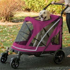 Expedition No Zip Standard Stroller