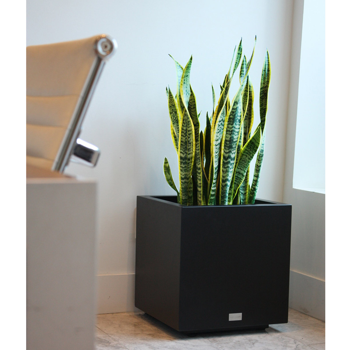 2019 year - Williston Forge Bothwell Fiberstone Planter Box WLFR7103 Color: Gray Size: 24 H x 24 W x 24 D 2019 year