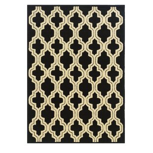 Savanah Hand Tufted Black ivory Indoor outdoor Area review