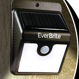 Ever Brite 1-Light Outdoor Flush Mount