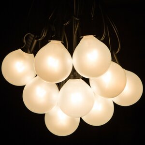 25-Light 25 ft. Globe String Lights