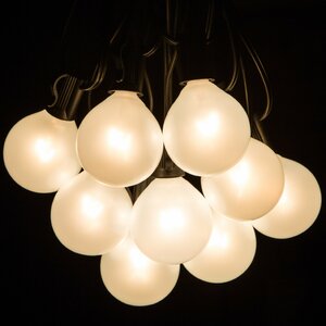 50-Light Globe String Lights