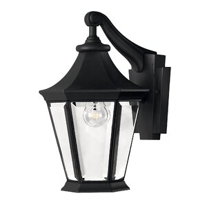 Senator 1-Light Outdoor Wall Lantern