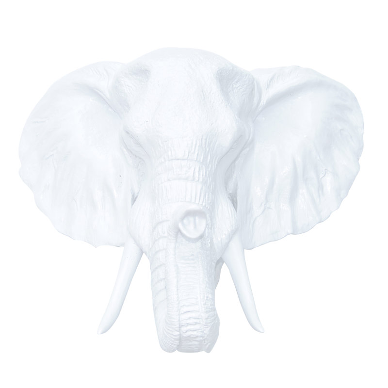 Faux Taxidermy Resin Elephant Head Wall Décor & Reviews AllModern