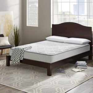 Wayfair Sleep 10