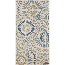 Hampton Bay Indoor Outdoor Rugs â€“ Rugs Ideas - Hampton Bay Indoor Outdoor Rugs Area Ideas