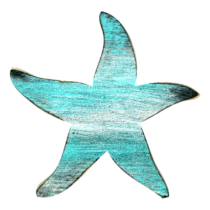 Designocracy Starfish Wooden Magnet Wall Décor Set Wayfair Starfish Wooden Magnet Wall Décor Set