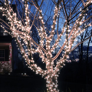 Outdoor Use Solar Powered Holiday Lighting You Ll Love Wayfair