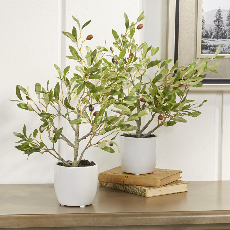 Small Faux Olive Tree in White Planter & Reviews Joss & Main