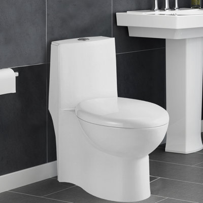 Aqualife Corp Colorado 1.28 GPF Elongated One-Piece Toilet (Seat Included)