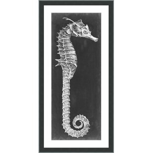 Seahorse Black White Wall Art You Ll Love Wayfair