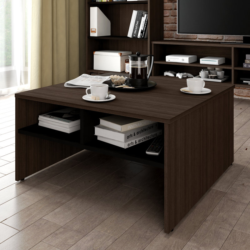 Latitude Run Frederick Storage Coffee Table with Magazine ...