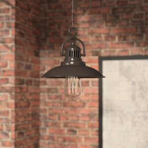 Meridian 1-Light Mini Pendant