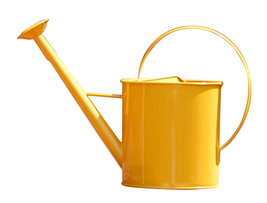 Olmeda 1 Gallon Watering Can With Long Spout Reviews Joss Main Olmeda 1 Gallon Watering Can With Long Spout