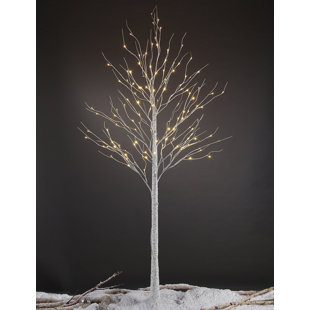 Lighted Twig Tree Wayfair Led Pre Lit 132 Light Birch Tree