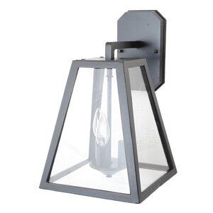 1-Light Outdoor Wall Lantern