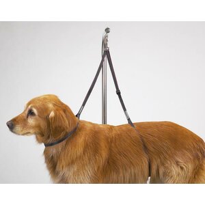 Dog Nylon Table Harness