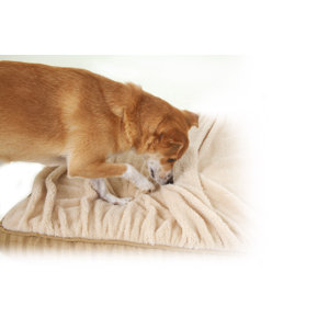Pillow/Classic