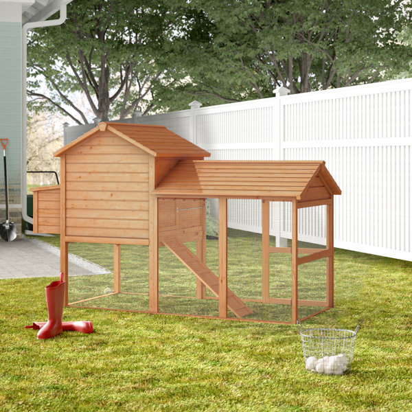 Portable Chicken Coop Wayfair