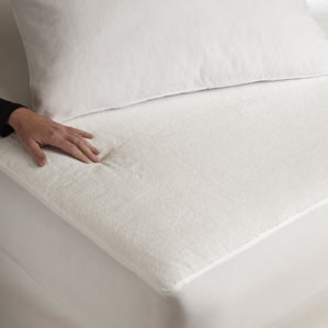 Waterproof Mattress Protector by Alwyn Home