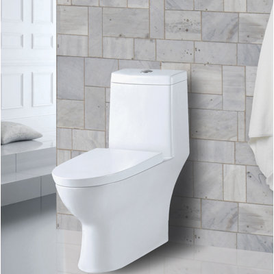 Aqualife Corp Amazon 1.28 GPF Elongated One-Piece Toilet (Seat Included)