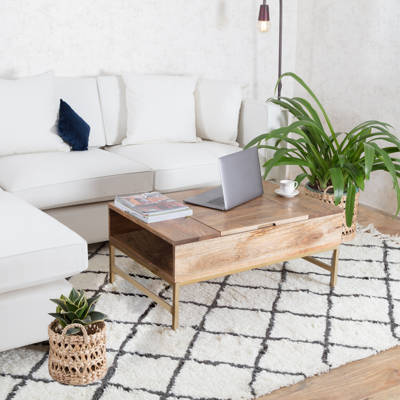 Norris Lift Top Storage Coffee Table Reviews Allmodern Norris Lift Top Storage Coffee Table