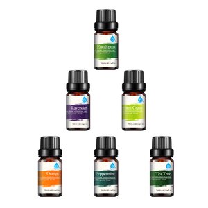 6 Piece 100% Pure Essential Aromatherapy Oils Gift Set