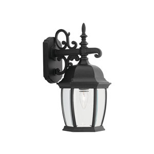 Thornhill Traditional 1-Light Outdoor Wall Lantern