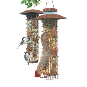 Be Gone Wild Caged Tube Bird Feeder