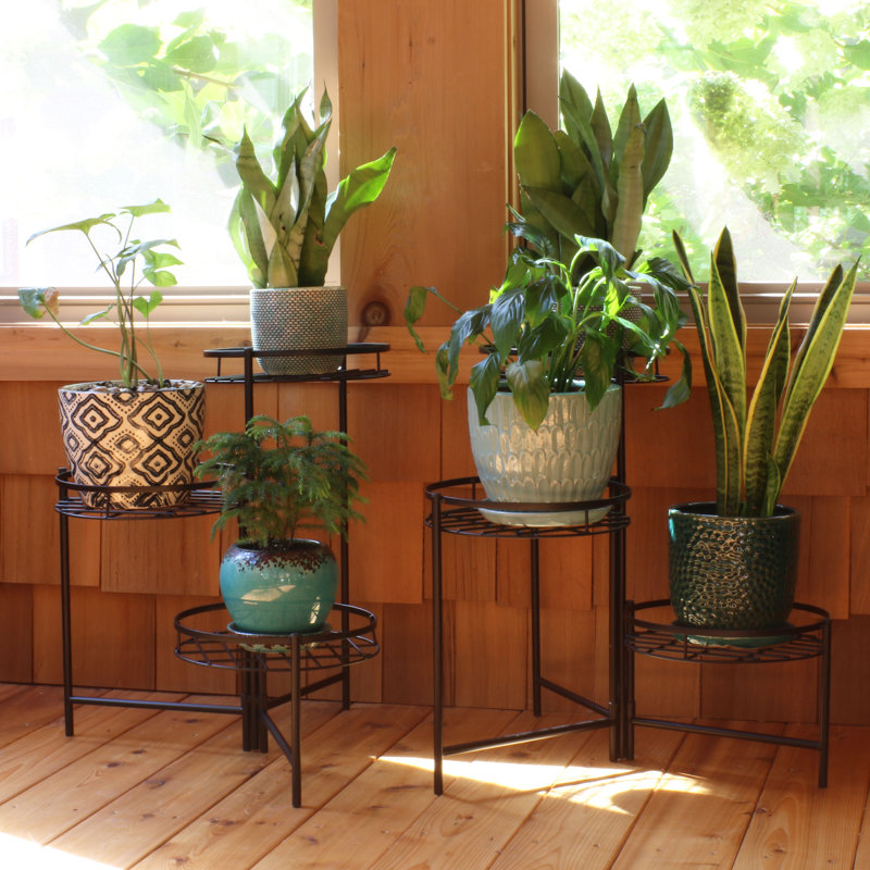 Harrisonville 3 Tiered Indoor Outdoor Plant Stand Set Reviews Harrisonville 3 Tiered Indoor Outdoor Plant Stand Set