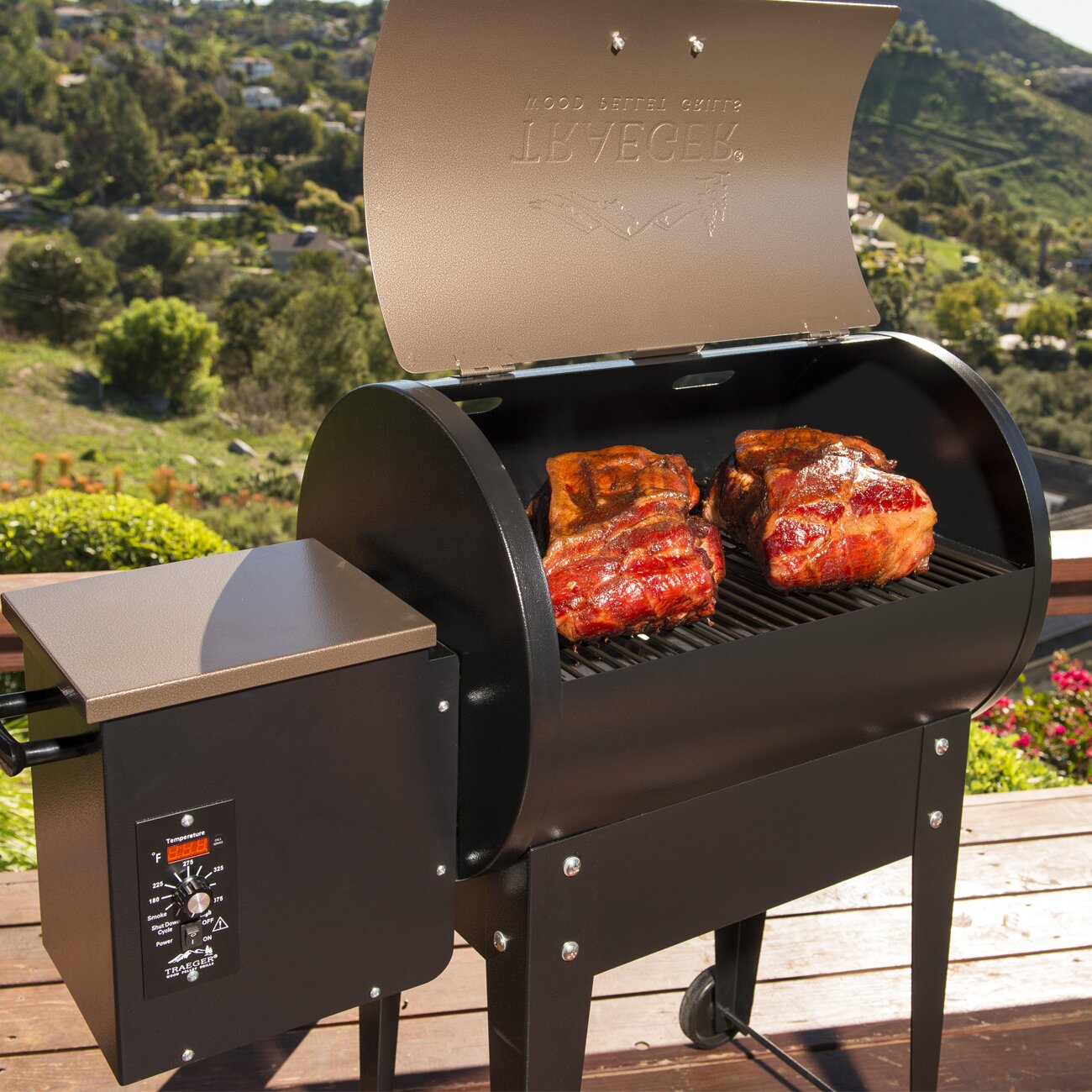 Traeger Pellet Grills Junior Elite 20 Wood Fired Grill & Reviews | Wayfair