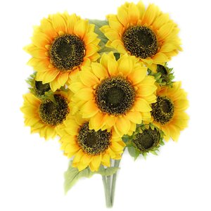 Sunflower Stem Full Bloom and Bud